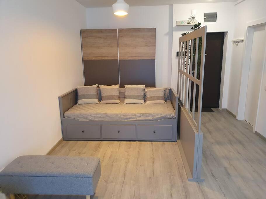 New Luxury Flat Near City Center Διαμέρισμα Τιμισοάρα Εξωτερικό φωτογραφία