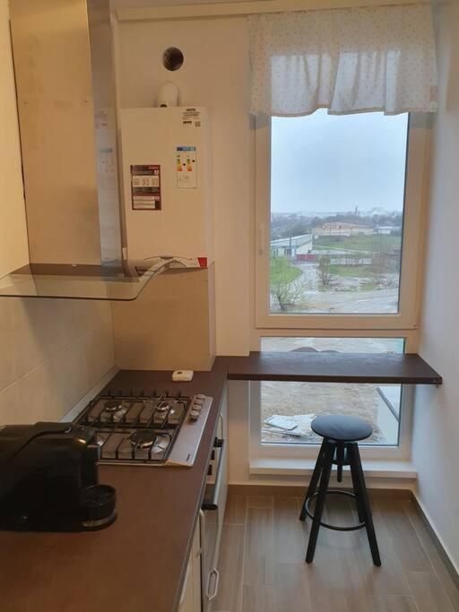 New Luxury Flat Near City Center Διαμέρισμα Τιμισοάρα Εξωτερικό φωτογραφία