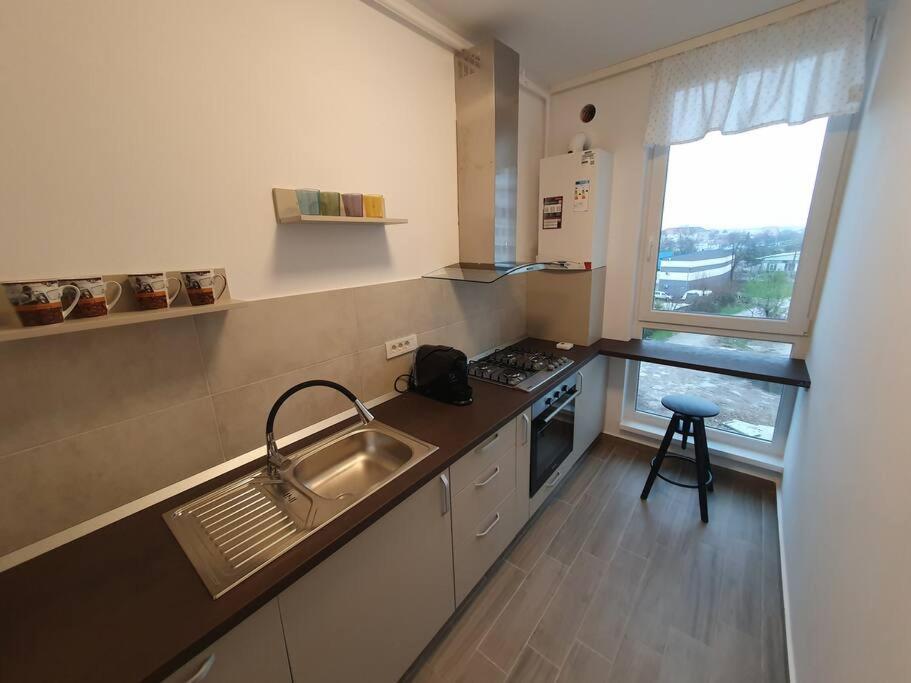 New Luxury Flat Near City Center Διαμέρισμα Τιμισοάρα Εξωτερικό φωτογραφία